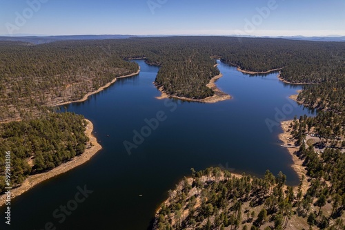 Aerial drone shot of the Woods Canyon Lake near a forest in Arizona, United States