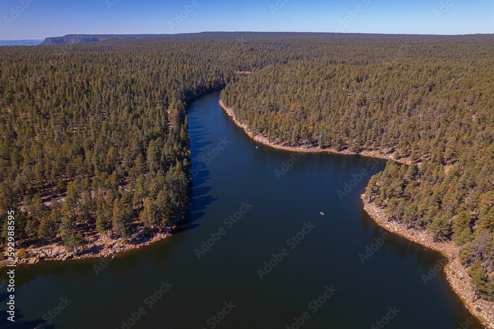 Aerial drone shot of the Woods Canyon Lake near a forest in Arizona, United States