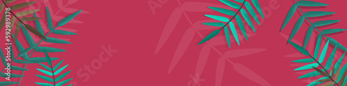 Banner with a green leaves of palm on a red background