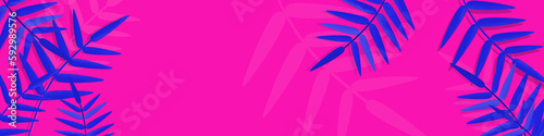 Banner with a blue leaves of palm on a fuxia background
