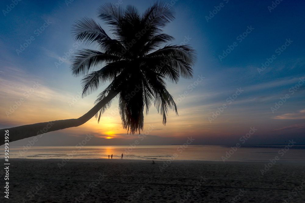 Coconut palm tree on sea beach with dramatic orange sunset sky, nice sea view tropical landscape summer beach, relaxation holiday vacation at paradise island.