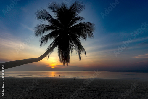 Coconut palm tree on sea beach with dramatic orange sunset sky  nice sea view tropical landscape summer beach  relaxation holiday vacation at paradise island.