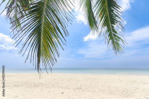 Fototapeta Naklejka Na Ścianę i Meble -  Coconut palm tree leaves on sea beach with cloudy blue sky, nice sea view tropical landscape summer beach, relaxation holiday vacation at paradise island, sea view with empty space.