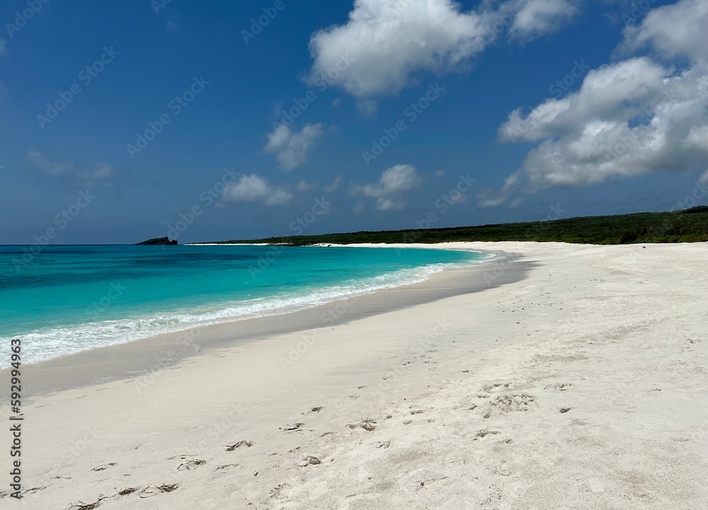 A beach on Espanola Island in the Galápagos Islands