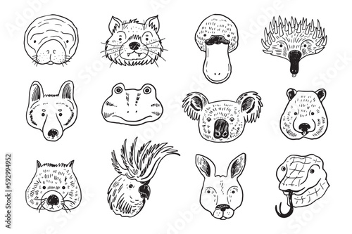 Arctic animals funny faces vector line illustrations set.