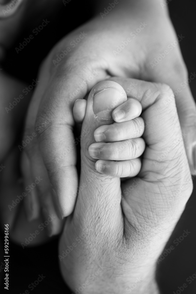 Fototapeta premium Close-up of the small hand of the child and the hand of the mother and father. A newborn baby after birth clings tightly to the finger of its parents. Black and white professional studio macro photo