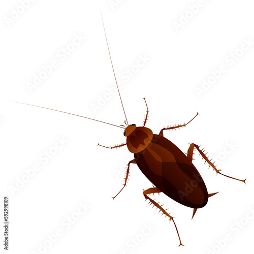real vector cockroach isolated on png white transparent background  © Baan3d