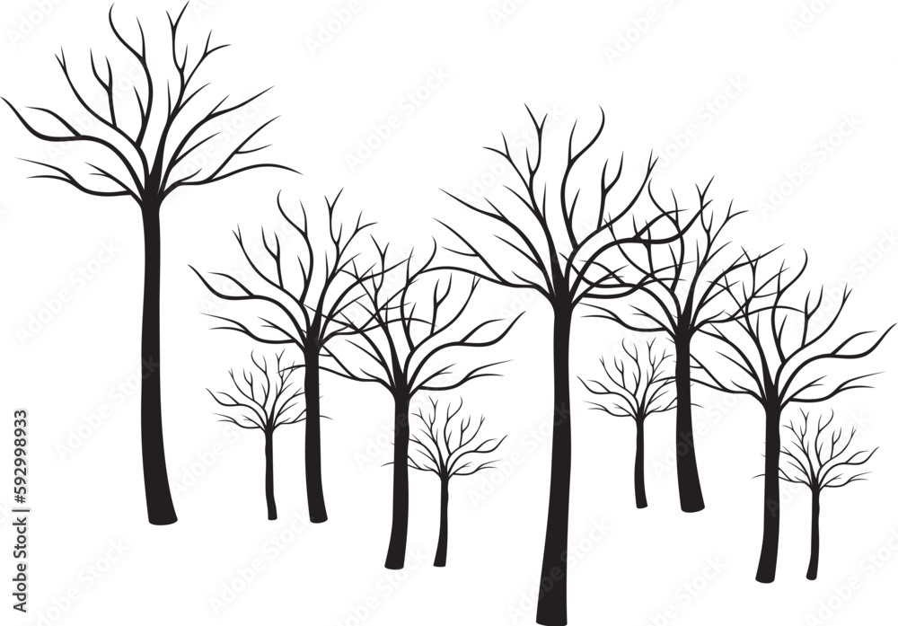 ARBUSTES DEFEUILLES
