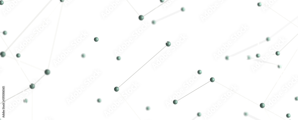 network network
