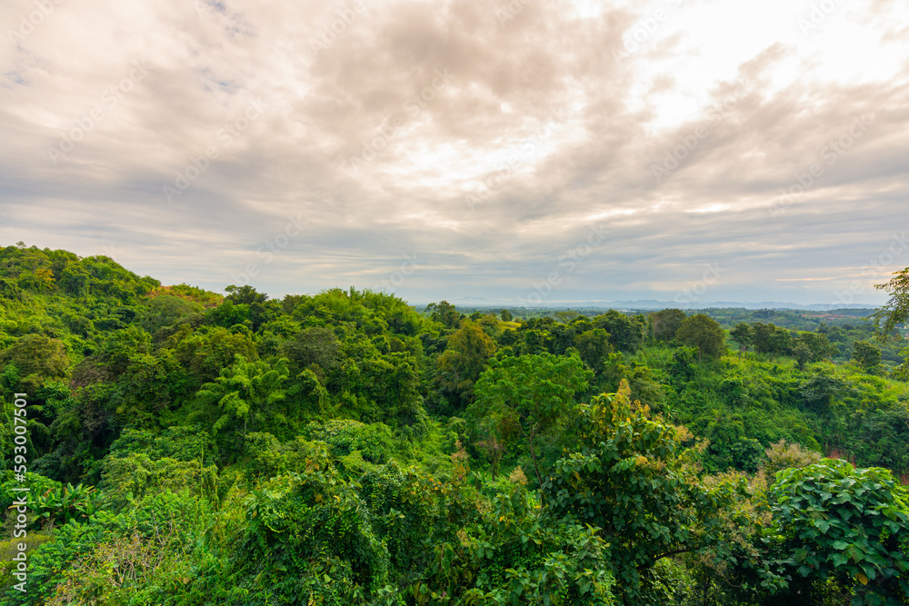 View of a green tropical jungles in Southeast Asia