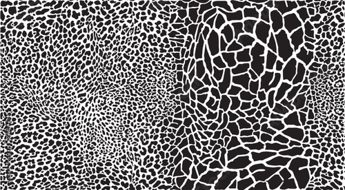  Leopard and giraffes skin seamless background