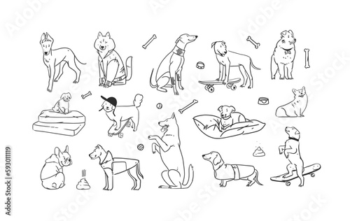 Hand drawn vector abstract graphic line collection set with diverse cute funny cartoon dogs characters.Vector illustration of funny cartoon different breeds dogs in trendy flat style. Line dog icon.
