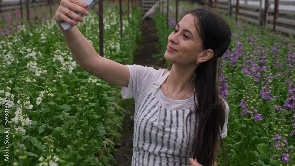 a girl in a striped apron, smiling and posing, takes a selfie on her smartphone against the background of flower rows with matiola. Homemade homemade greenhouse. Family business and business a girl in a striped apron, smiling and posing, takes a selfie on her smartphone against the background of flower rows with matiola. Homemade homemade greenhouse. Family business and business