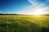 Idyllic Scenery: Green Grass Field Against a Sunlit Blue Sky - Generative AI