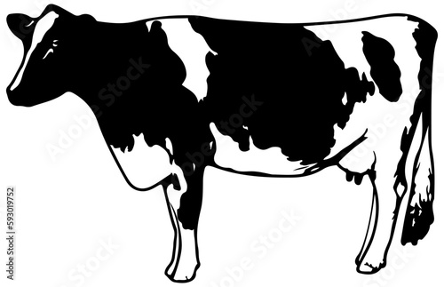cow