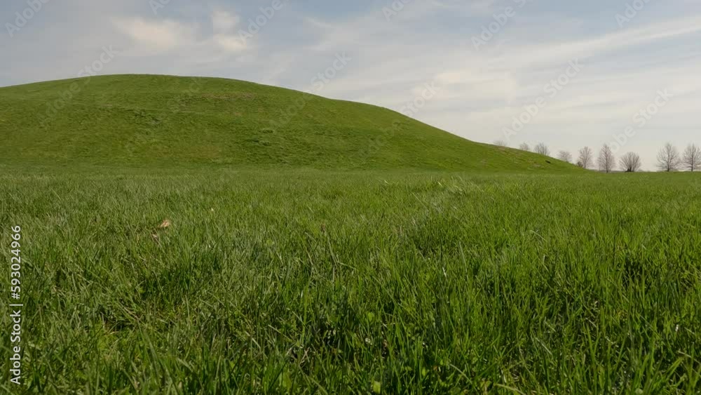 Idyllic Green Hill and Meadow Outdoor Springtime Scene