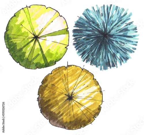Set of trees, top view, hand drawn using markers