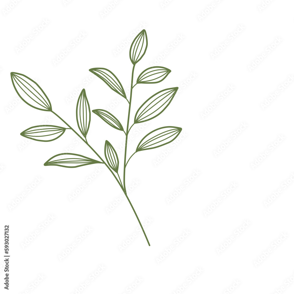 Leaf Lineart Leaf Lineart