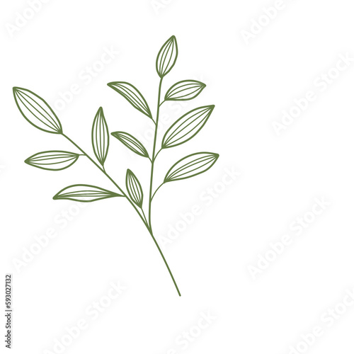 Leaf Lineart 