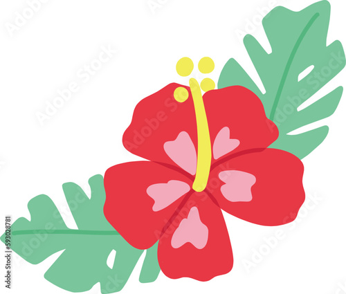 かわいいハイビスカスの主線なしカラーイラスト