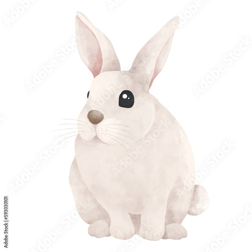 Watercolor illustration of cute white rabbit.