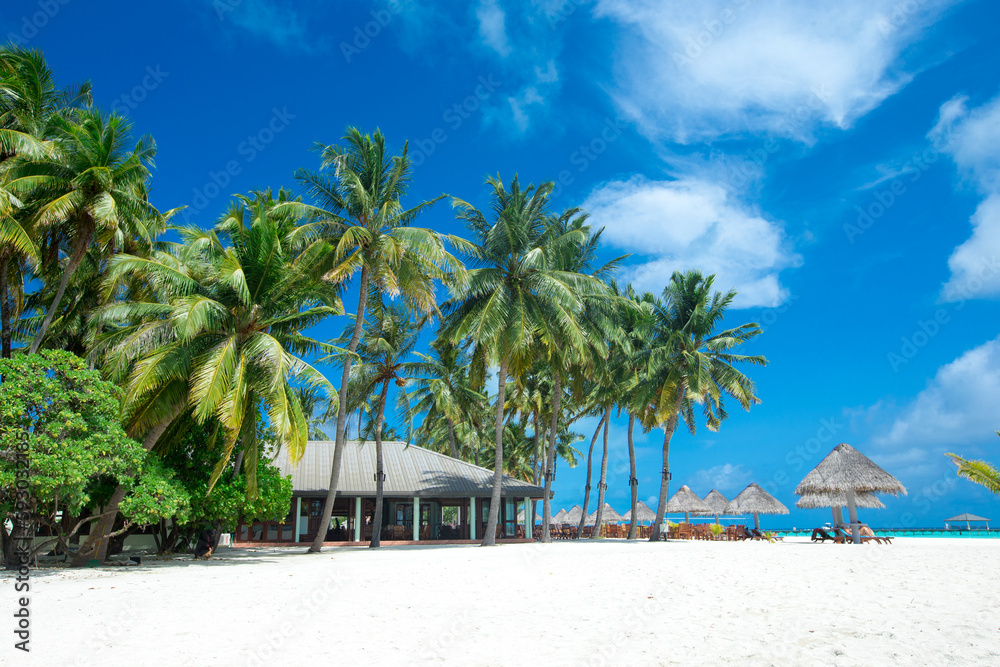 Obraz premium tropical Maldives island with white sandy beach and sea. palm