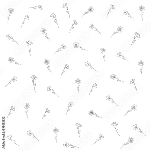 Line illustrations of flowers in black and white style, floral pattern, single line illustration, line drawing, modern single line art, line drawing, one line drawing 
