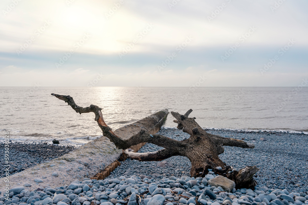 Rock beach, sea, and cloudy blue sky on the sunny day Rock beach, sea, and cloudy blue sky on the sunny day