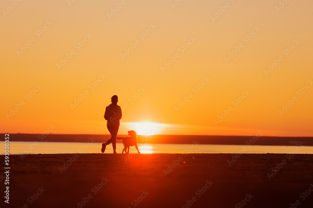 woman and dog on run on seashore, silhouette against background of setting sun. healthy lifestyle, freedom and outdoor sports. labrador retriever dog