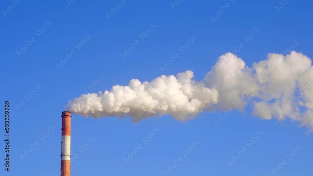 The thick smoke from the chimney of the CHP. Pollution of the environment. Environmental disaster. Emissions into the air. Against the blue sky. High quality 4k footage The thick smoke from the chimney of the CHP. Pollution of the environment. Environmental disaster. Emissions into the air. Against the blue sky. High quality 4k footage