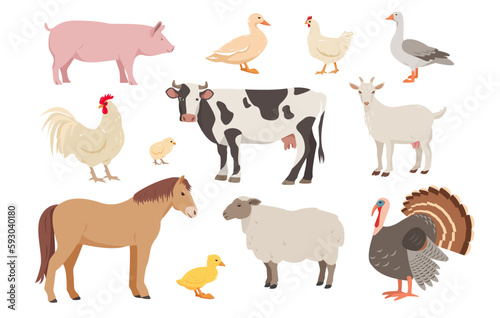 Set of farm animals and birds in different poses. Cow, sheep, pig, horse and goat, hen, rooster, duck, goose, turkey and chickens. Vector flat or cartoon illustration animal icons isolated. © Елена Истомина
