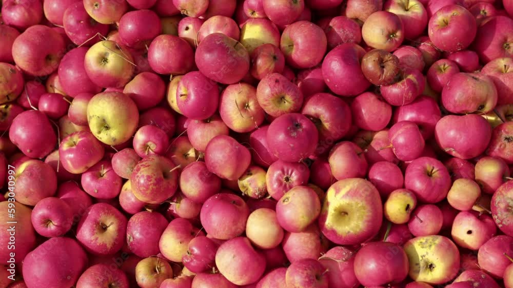 Red apples gathered on each other, cool for background Red apples gathered on each other, cool for background