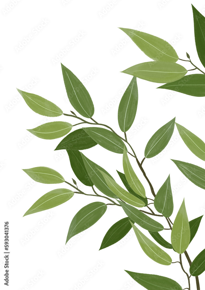 branch with green leaves, watercolor illustration