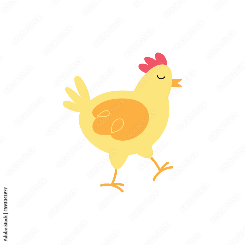Cute chicken standing