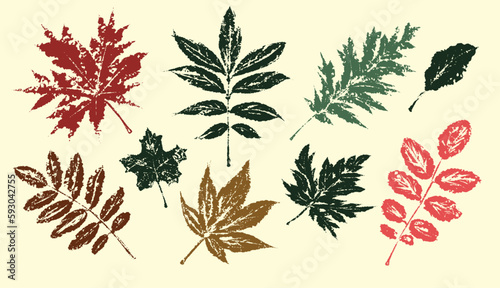 Tropical leaves collection. Textured ink brush drawing. Vector illustration
