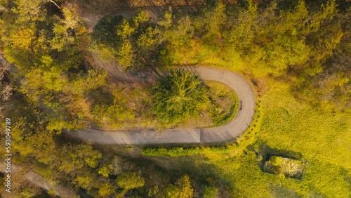 Strada forestale dall'alto in montagna