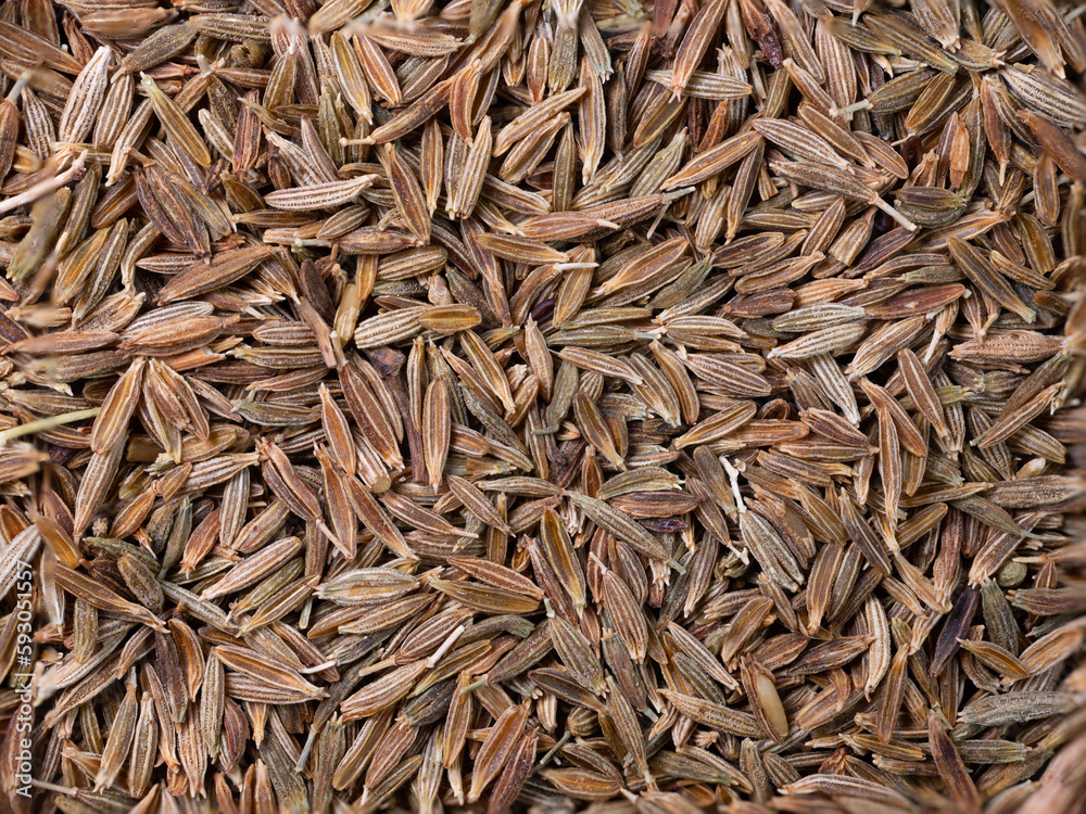 Pile of cumin seeds very close up food background