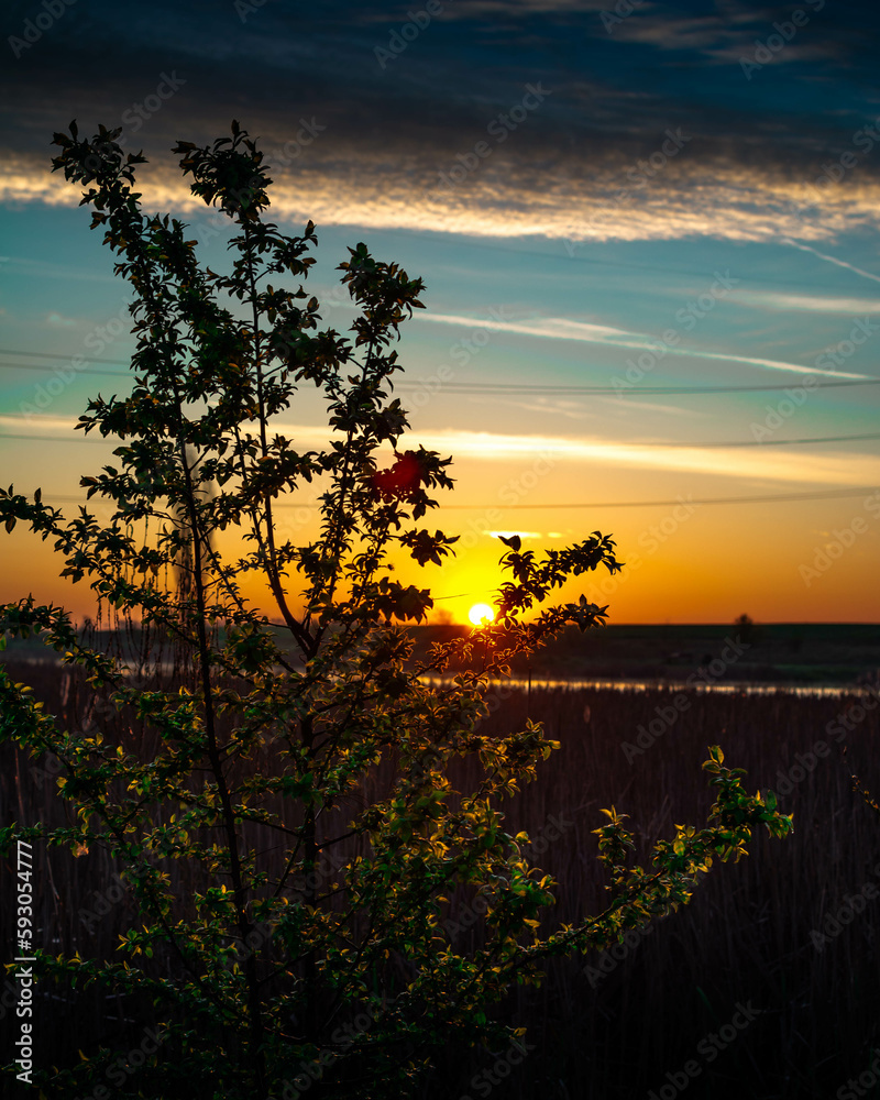 Fototapeta premium lake sunrise 