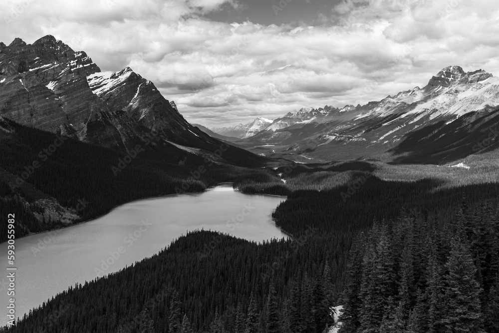 Peyto Lake and Canadian Rocky Mountains in black and white, Banff ...