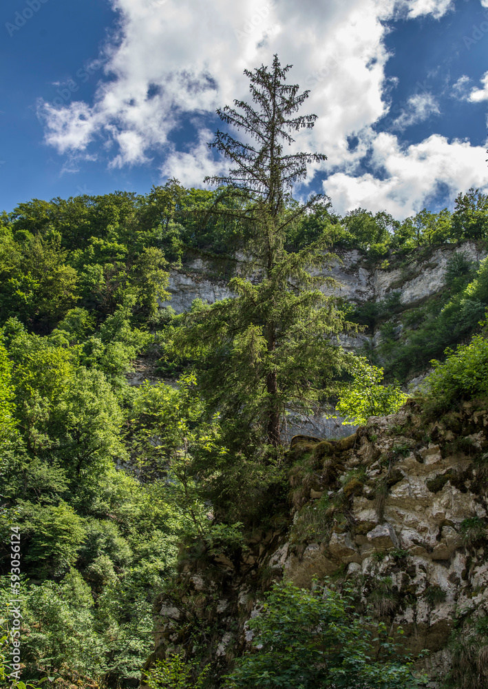 Falaise jurassienne près de la source de la Loue à Ouhans, Doubs, France