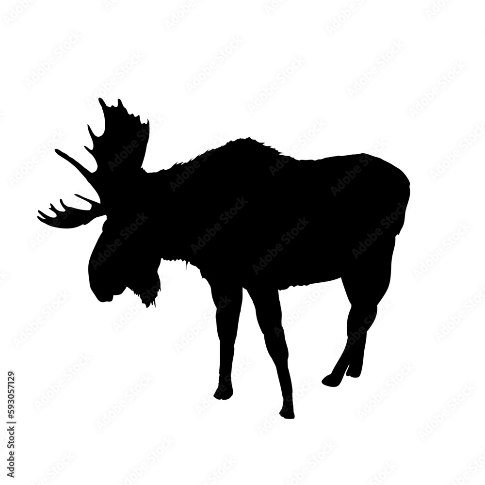moose silhouette moose silhouette