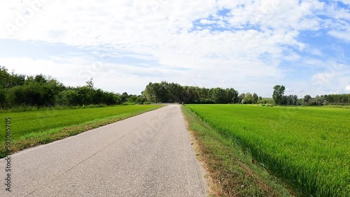 Via Francigena - secondary paved road next to Rivoltella, municipality of Rosasco, province of Pavia, Lombardy region, Italy