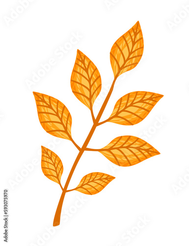 Autumn orange leaf vector illustration isolated on white background