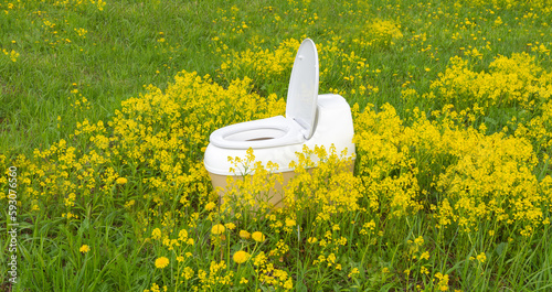 dry closet among green grass and yellow flowers