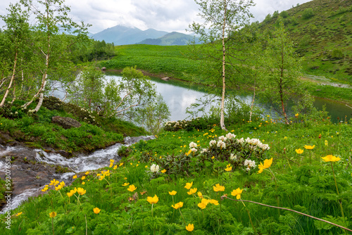 picturesque mountain stream
