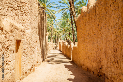 Al Ula ruined old town street with palms along the road, Saudi Arabia photo