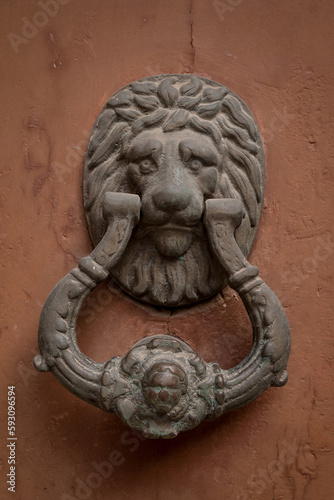 Door-handle as lion head