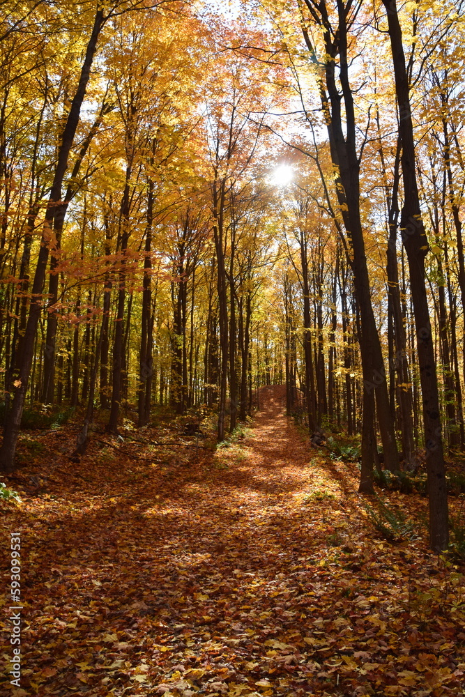 Obraz premium Sentier de la Presqu'ile, Montreal