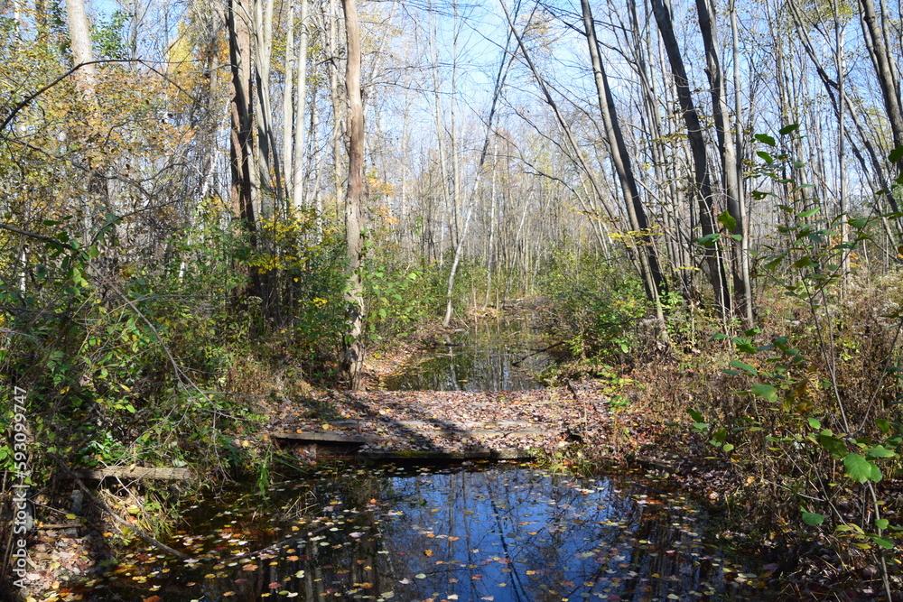Sentier de la Presqu'ile, Montreal Sentier de la Presqu'ile, Montreal