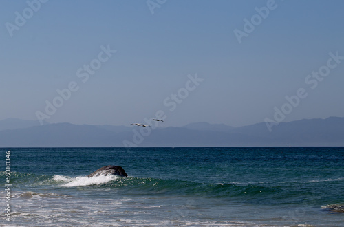 MAR 